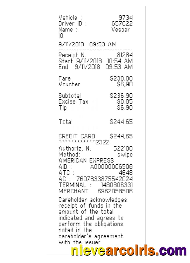 Realistic TAXI Payment Receipt Template