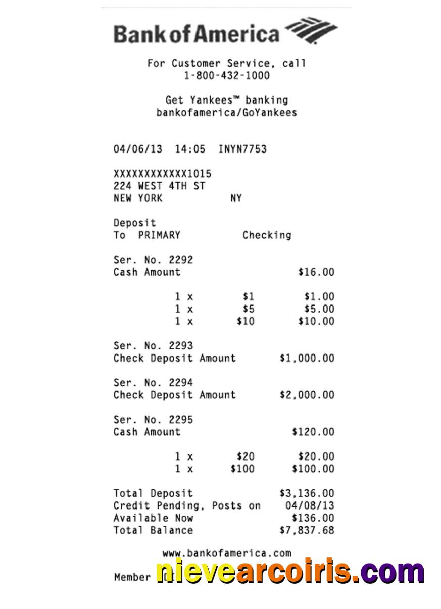 USA Bank Of America Check Sample