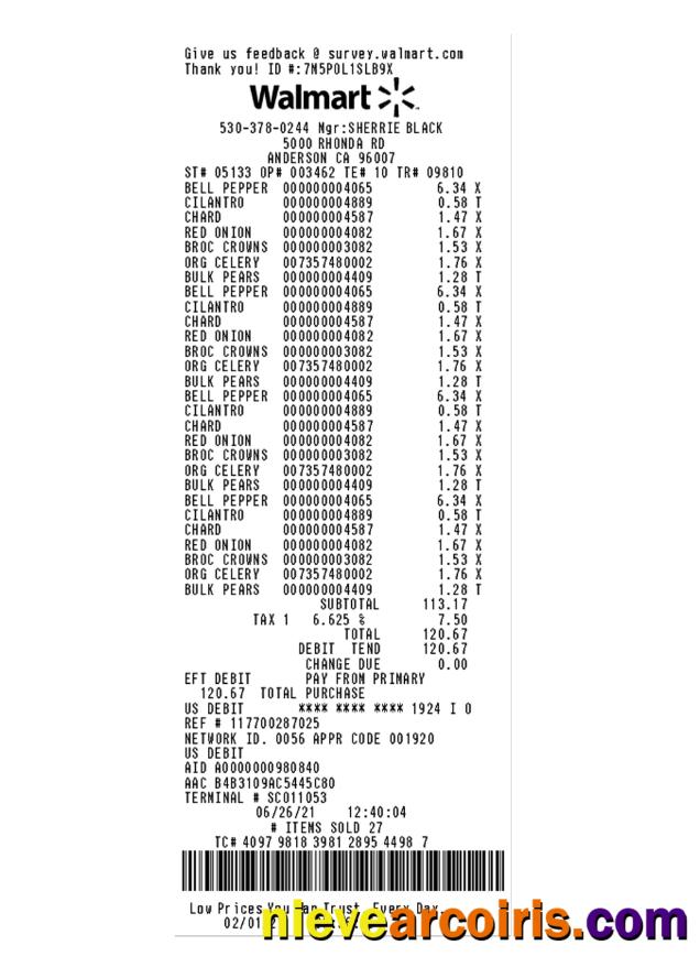 Premium WALMART Payment Check Template