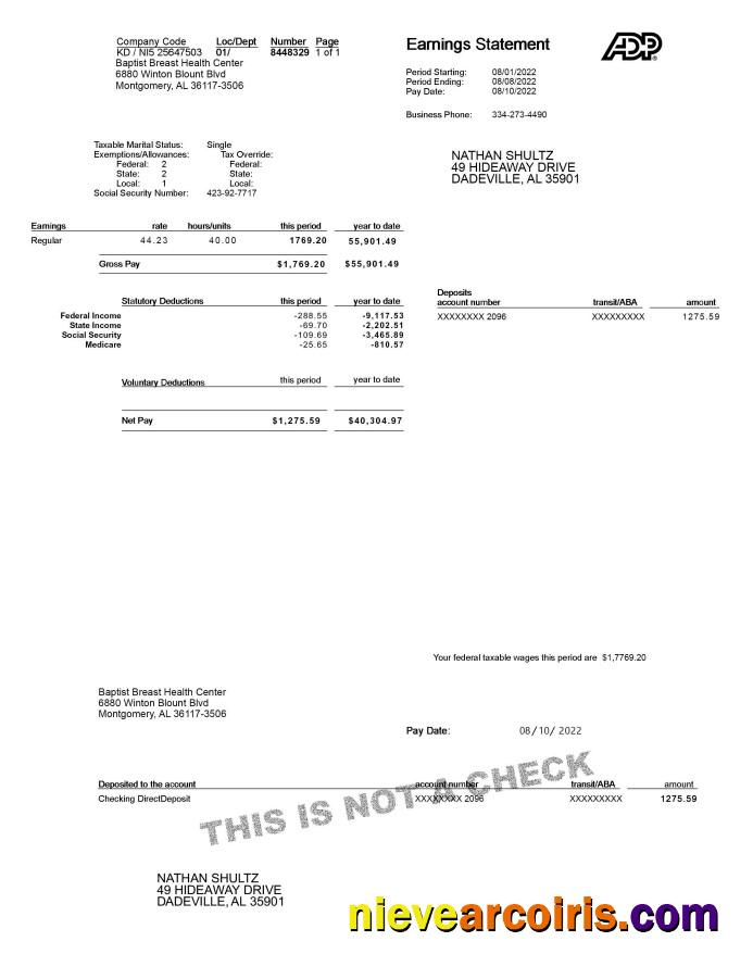 ADP Earnings Statement Template
