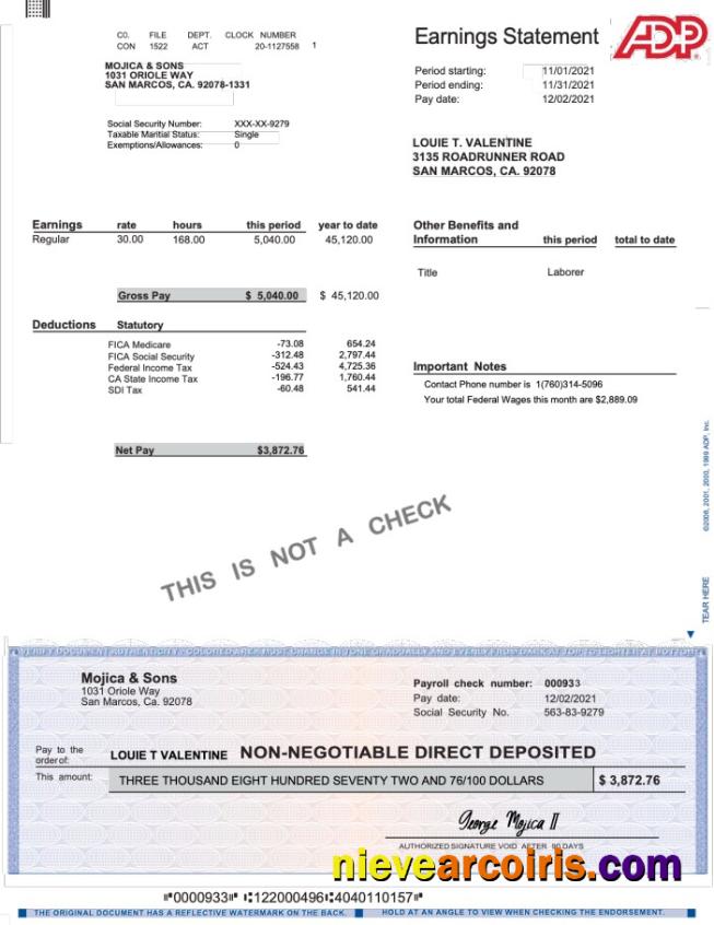 Premium ADP Earnings Statement Word And PDF Template