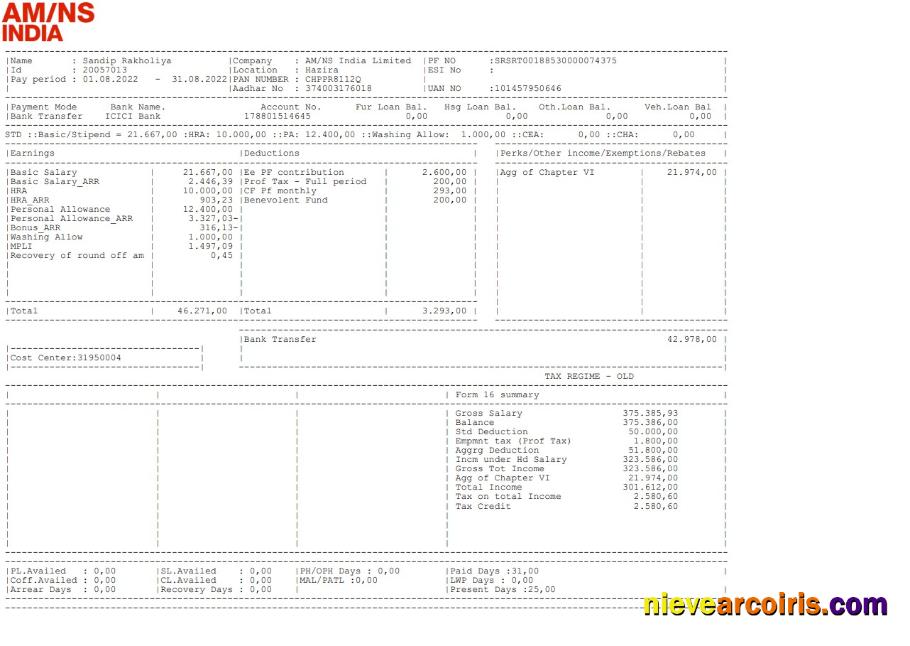 AM NS India Paystub Preview