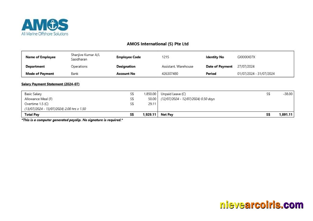 Editable AMOS International Earnings Summary Template In Word And PDF Formats.pdf, 1