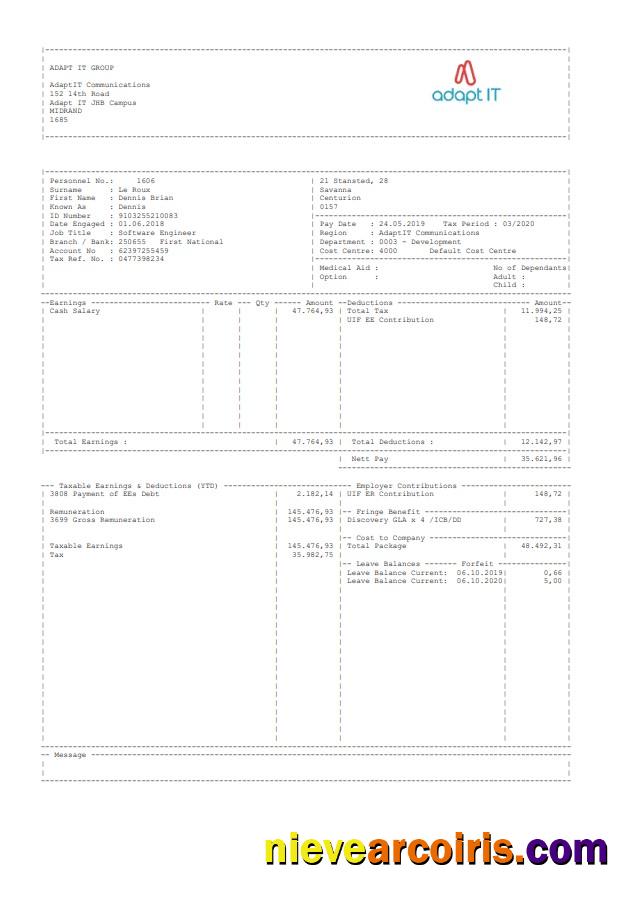 Adapt ID Group Paystub Template