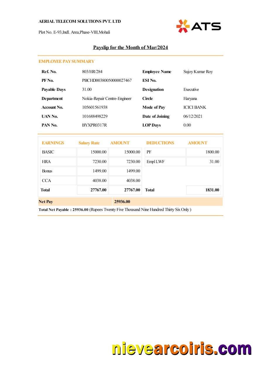 Realistic Aerial Telecom Solutions Payslip Template In Word And PDF Formats.pdf, 1
