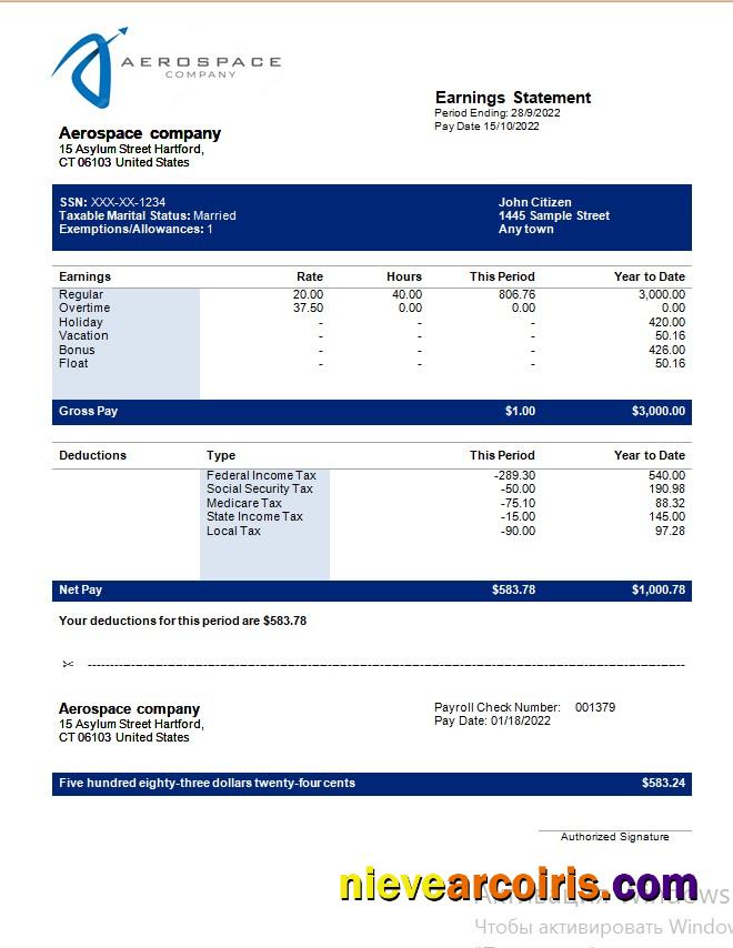 Aerospace Company Earning Statement In Word And PDF Formats Sample
