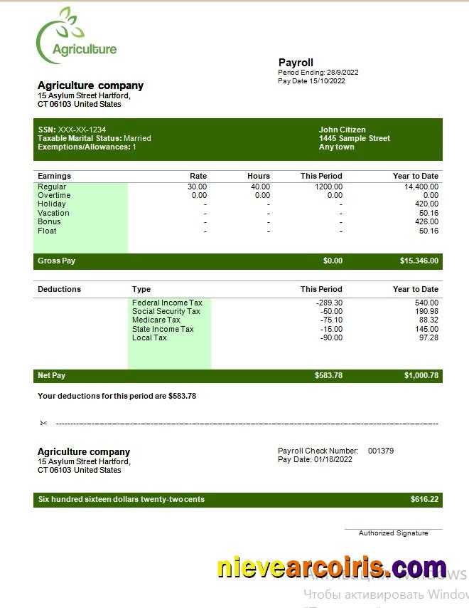 Realistic Agricultural Company Payroll Template In Word And PDF Formats