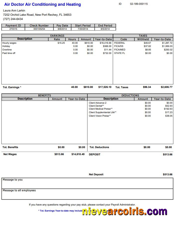 Air Doctor Paystub Photolook