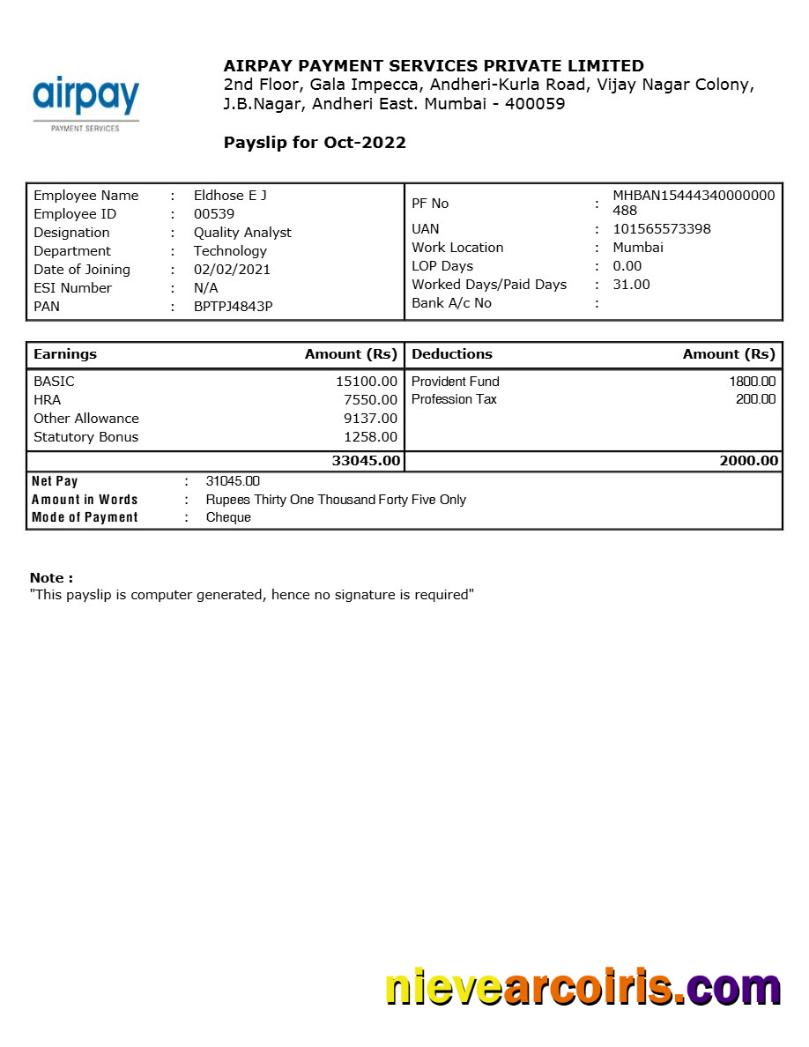 Realistic Airpay Payment Services Payslip Template In Word And PDF Formats.pdf, 1