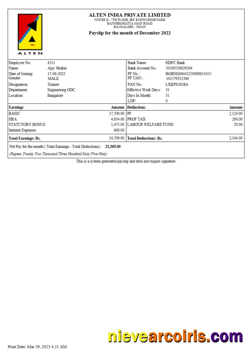 Realistic Alten India Payslip Template In Word And PDF Formats.pdf, 3