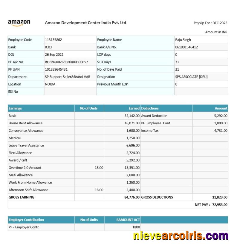 Premium Amazon Development Center India Payslip Template In Word And PDF Formats.pdf, 1