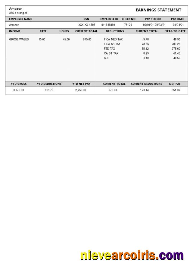 Amazon Paystub Template