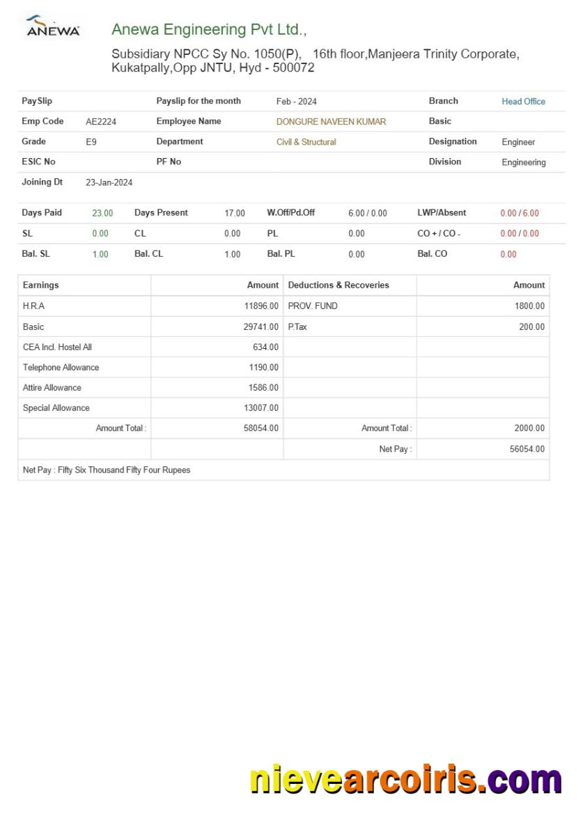 Professional Anewa Engineering Payslip Template In Word And PDF Formats.pdf, 1