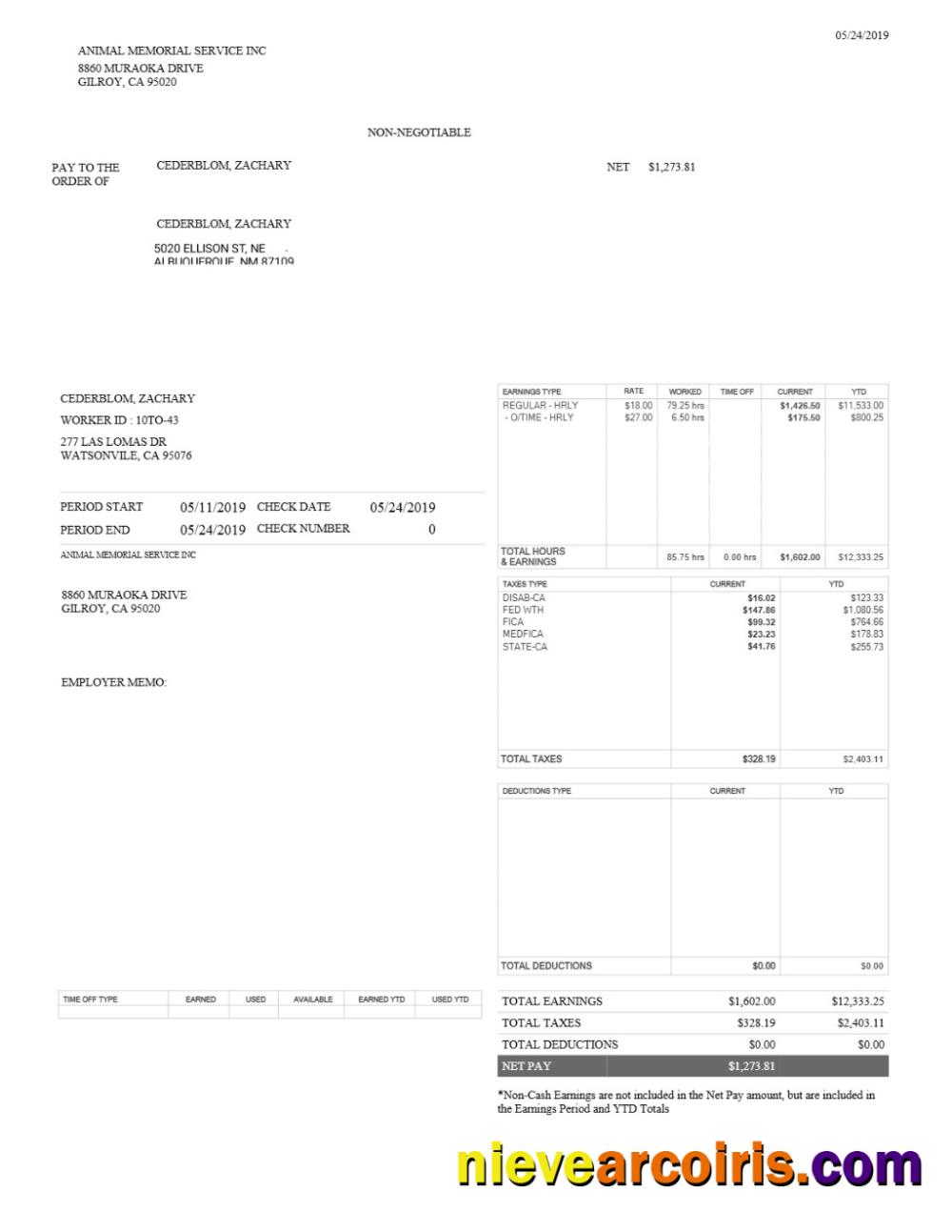 Editable Animal Memorial Service INC Pay Stub Template In Word And PDF Formats.pdf, 1