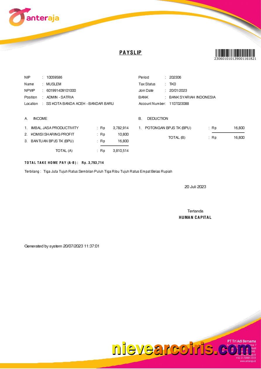 Professional Anteraja Tech Services Payslip Template In Word And PDF Formats.pdf, 1