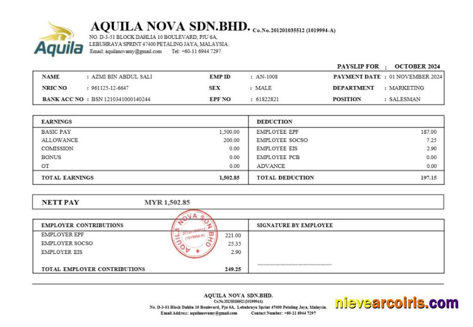 Professional Aquila Nova Consultant In Singapore Payslip Template In Word And PDF Formats.pdf, 1