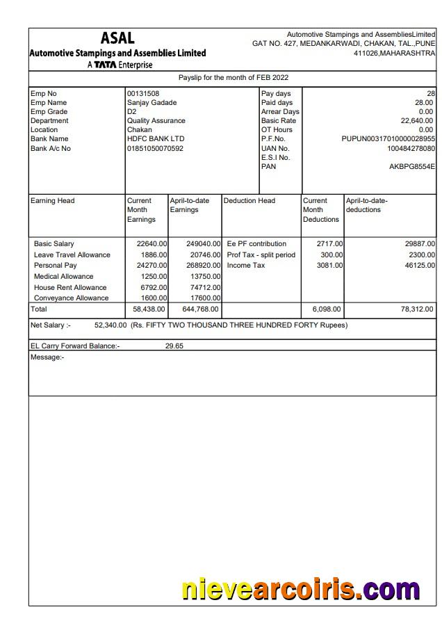 Automotive Stampings And AssembliesLimited Pay Stub Template