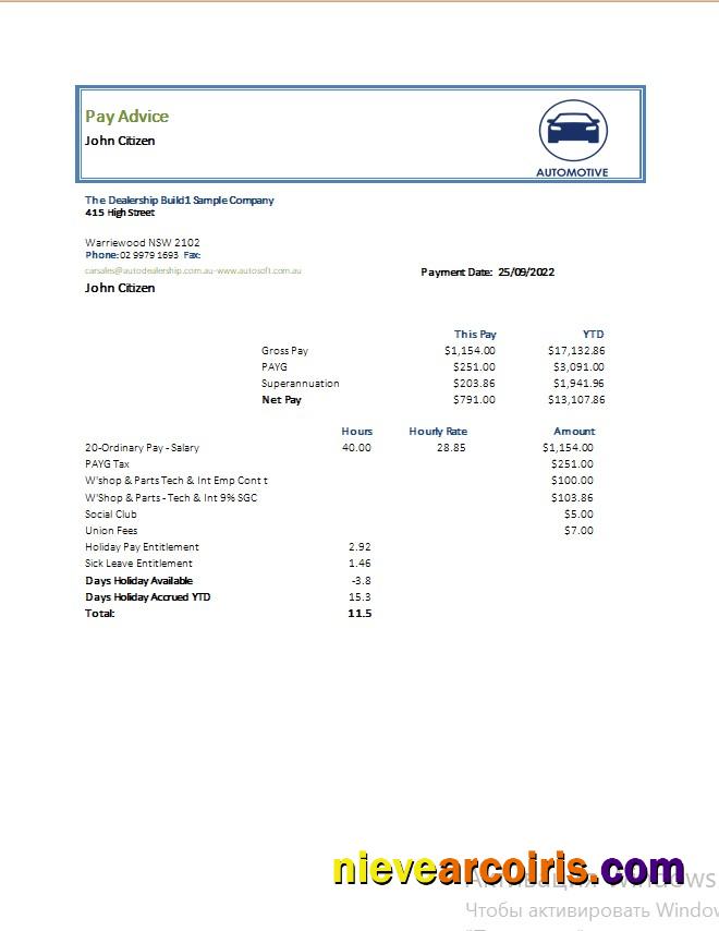 Editable Automotive Company Pay Advise Template In Word And PDF Formats