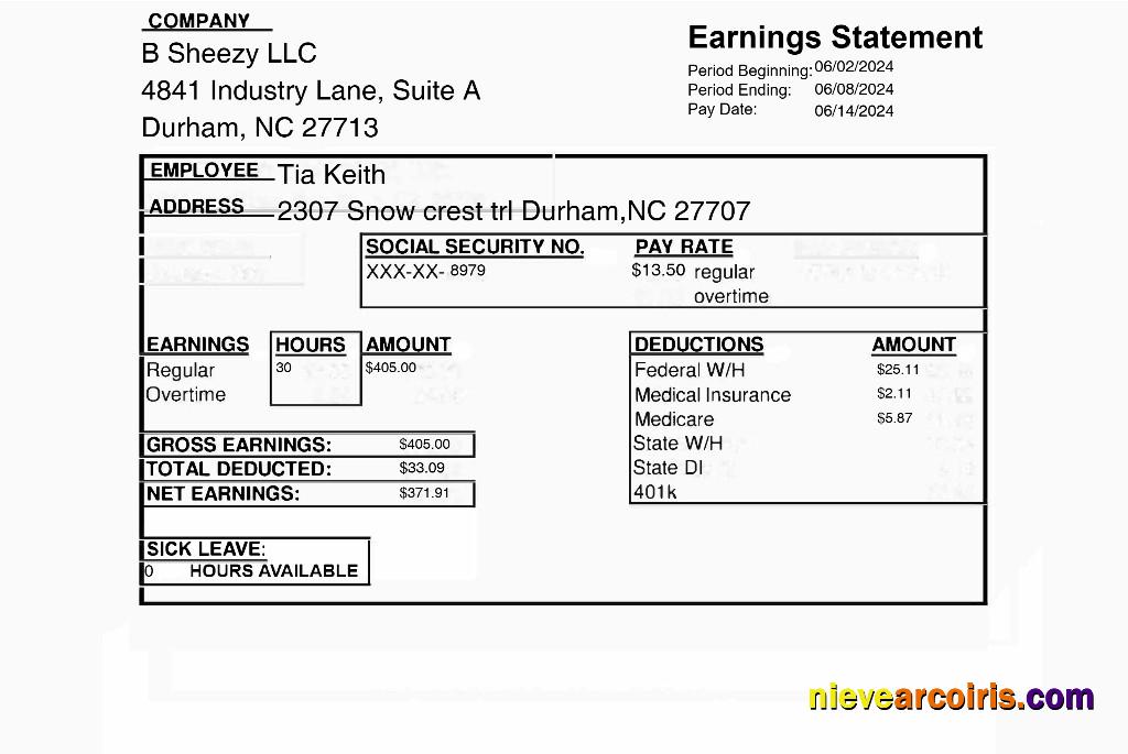 Realistic B Sheezy LLC Earnings Statement Template In Word And PDF Formats.pdf, 1