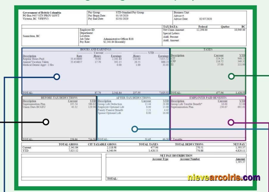 Professional BARGAINING UNIT Employee Pay Stub Word And PDF Template