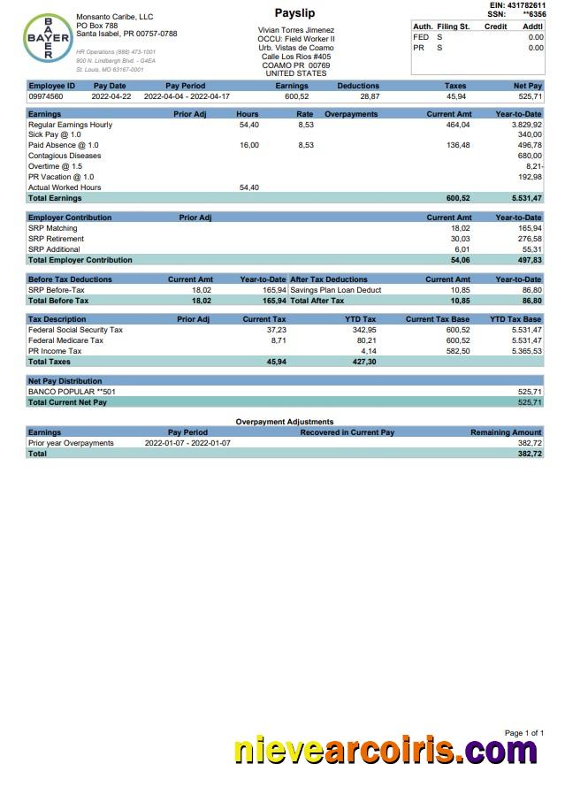 BAYER Paystub 2022 Photolook