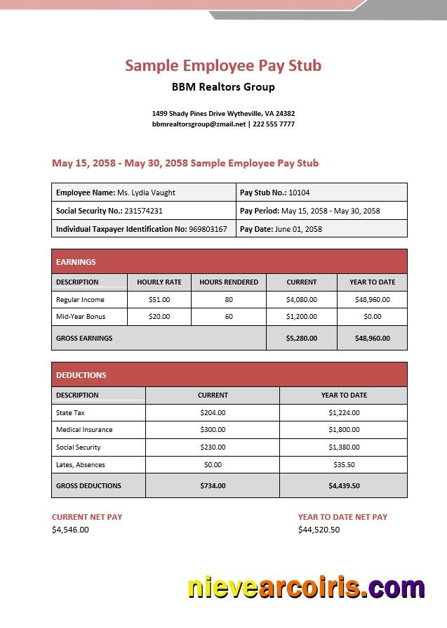 BBM Realtors Group Employee Pay Stub In PDF And Word Formats Photolook