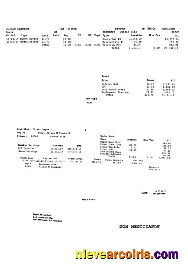 Bee Clean Industrial Ltd. PayStub Sample