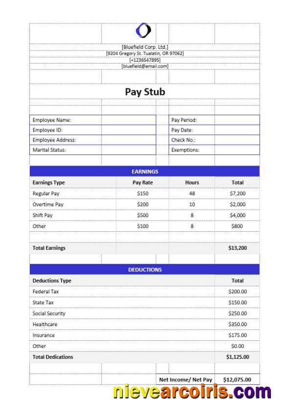 Realistic Bluefield Corp. Ltd Pay Stub Word And PDF Template