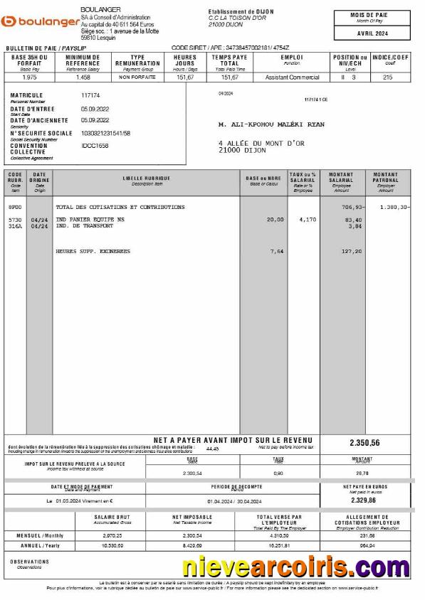 Premium Boulanger Payslip (in French Language) Template In Word And PDF Formats.pdf, 2