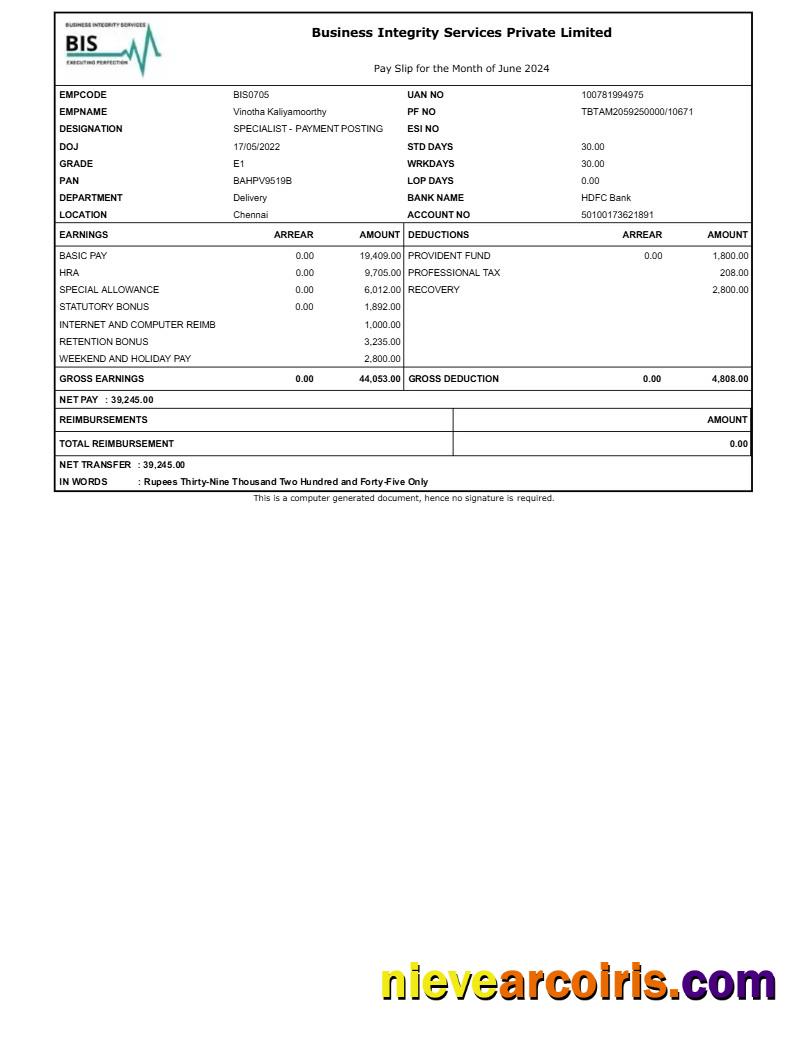 Premium Business Integrity Services Payslip Template In Word And PDF Formats.pdf, 1