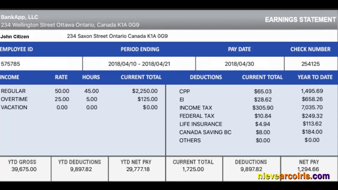 CANADA BANKAPP LLC Earning Statement In Excel And PDF Formats Photolook