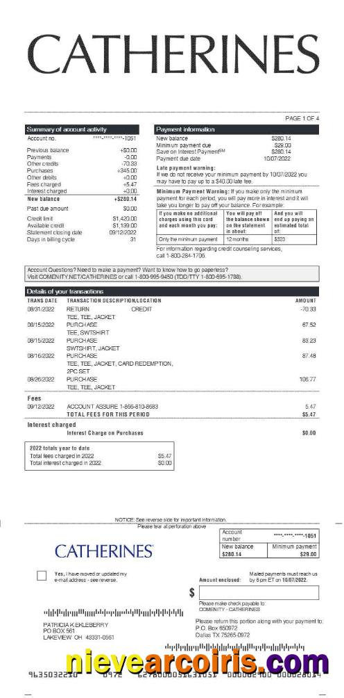 Editable CATHERINES Earnings Statement Template In Word And PDF Formats.pdf, 1