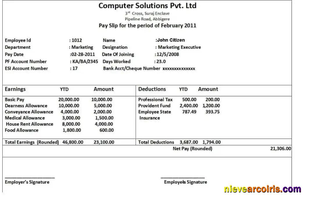 COMPUTER Solutions Pvt. Ltd In Word And PDF Formats Preview