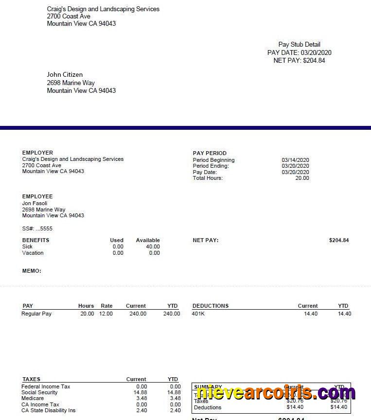 CRAIG'S Design And Landscapin Services Pay Stub In Word And PDF Formats Photolook