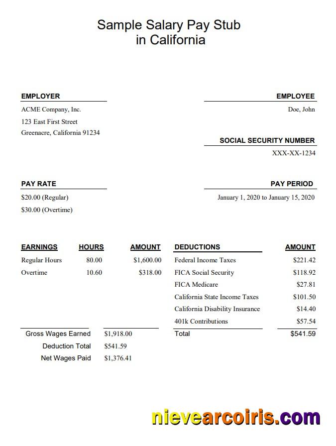 Editable California Salary Pay Stub Word And PDF Template