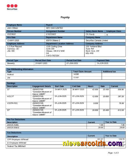 Editable Canada Online Payslip Word And PDF Template