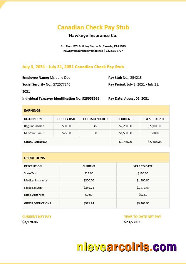 Professional Canadian Check Pay Stub Template
