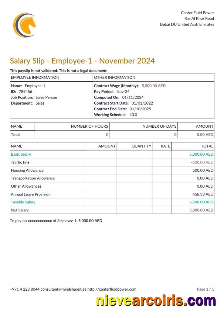 Realistic Canter Fluid Power Payslip Template In Word And PDF Formats.pdf, 1