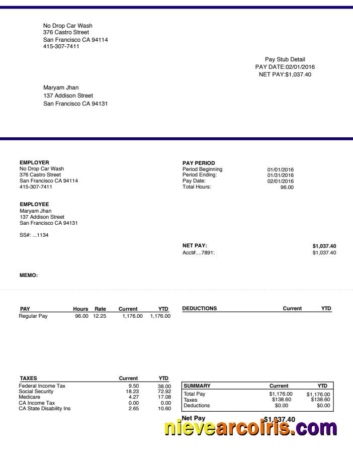 Editable Car Wash Paystub Word And PDF Template