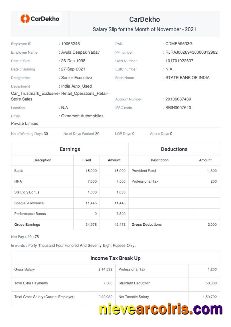 Premium CarDekho Payslip Template In Word And PDF Formats.pdf, 1