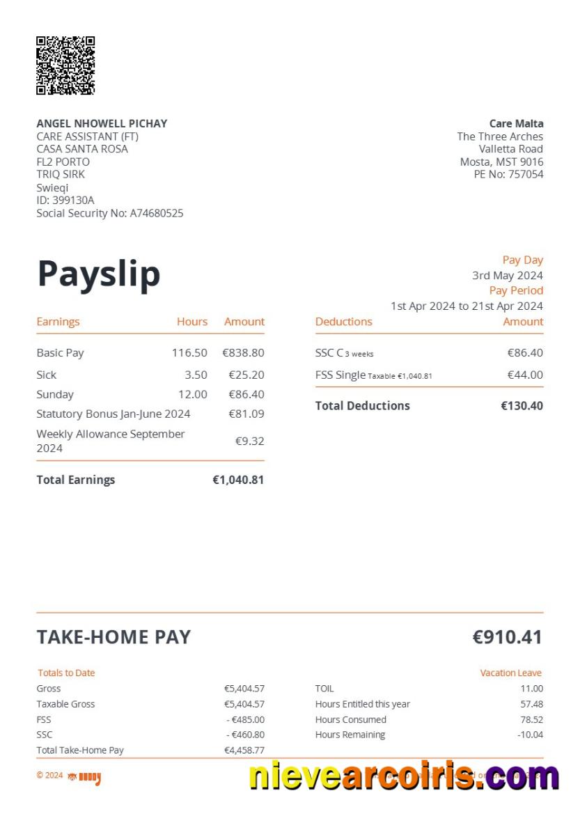 Realistic Care Malta Payslip Template In Word And PDF Formats.pdf, 1