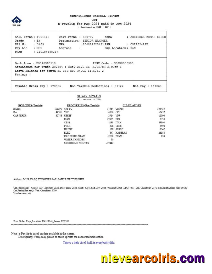 Realistic Centralized Payroll System Payslip Template In Word And PDF Formats.pdf, 1