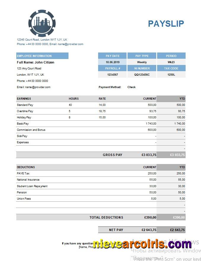Editable Chemical Company Payslip Template In Excel And PDF Formats