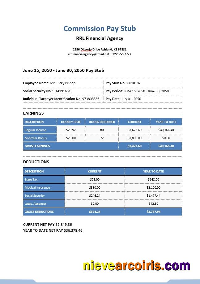 Realistic Commission Pay Stub Template