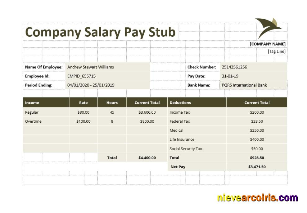 Editable Company Salary Pay Stub Template
