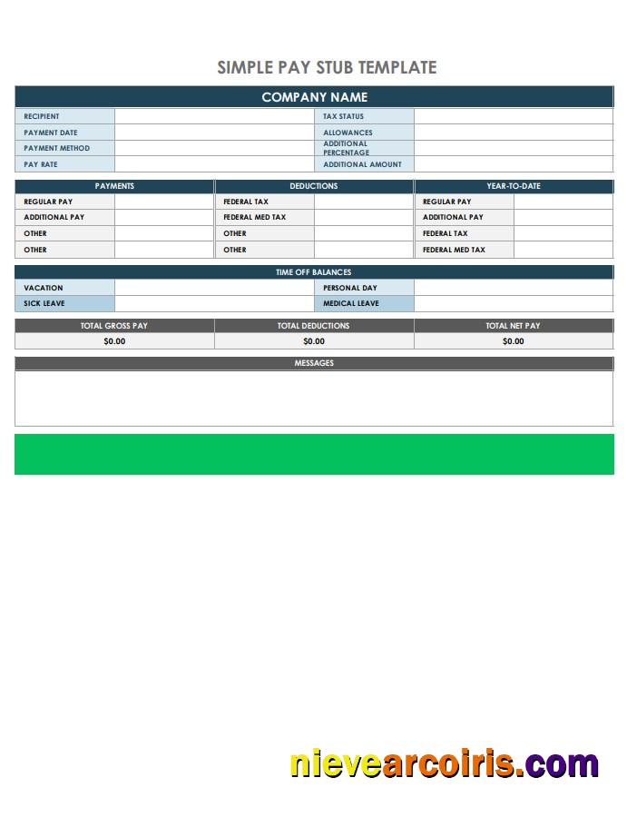 Company Pay Stub In PDF And Word Formats Preview
