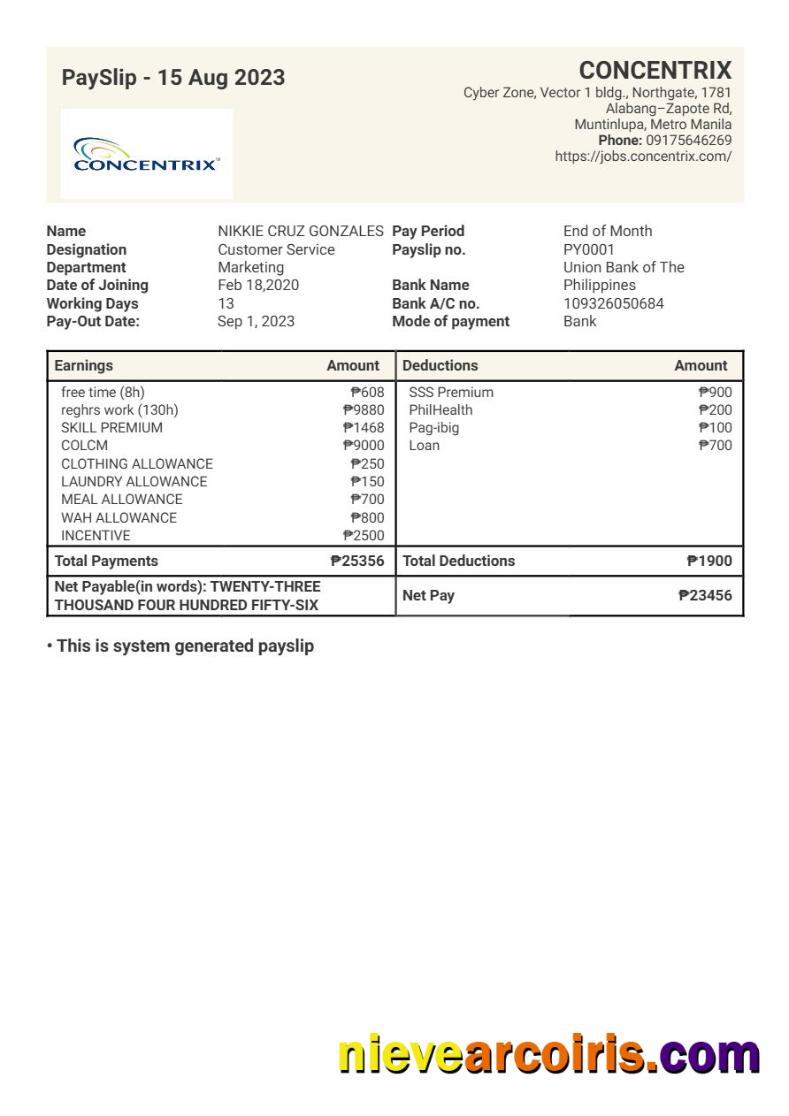 Professional Concentrix Technology And Services Payslip Template In Word And PDF Formats.pdf, 1