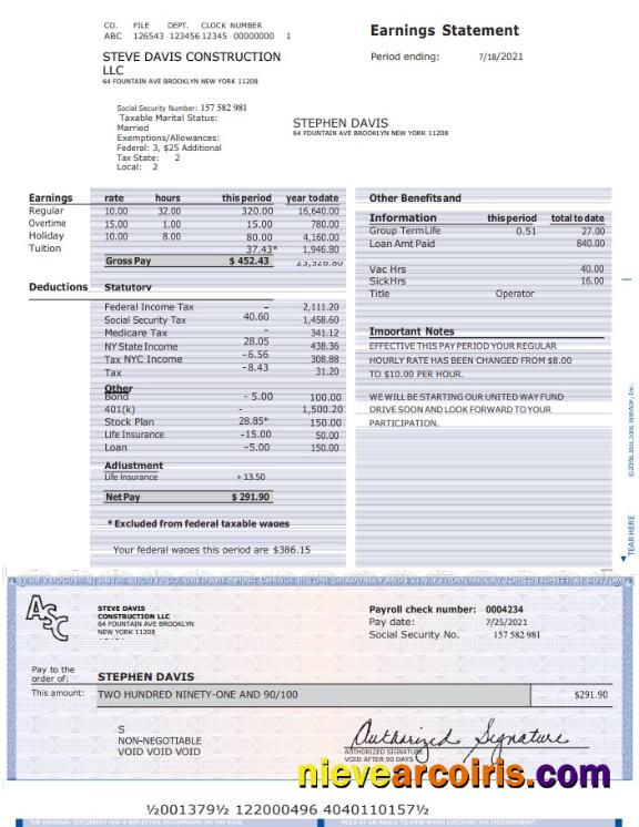 Construcion LLC Earnings Statement Sample