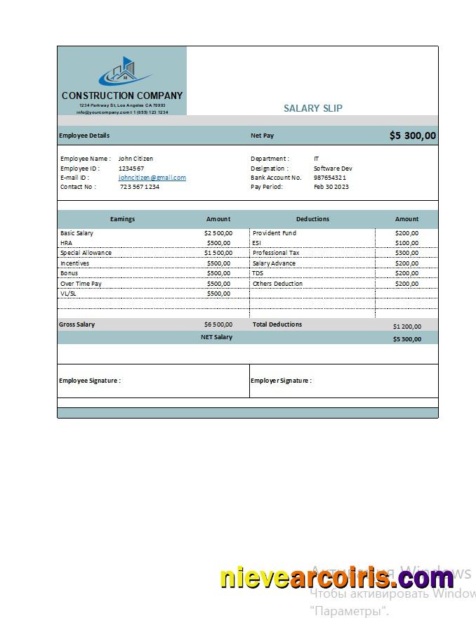Construction Company Earning Statement In Excel And PDF Formats Template