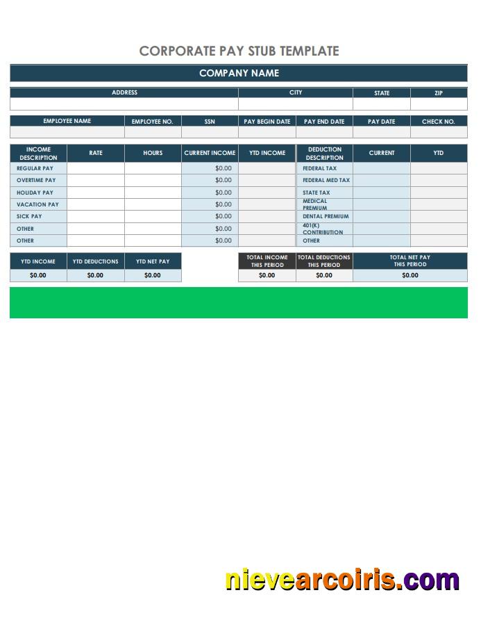 Professional Corporate Pay Stub Template